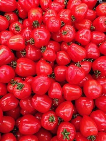 ●さらさら血液