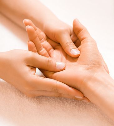 ●セラピスト資格／スクール／